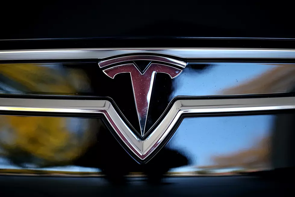 Feds Slam Tesla Ban
