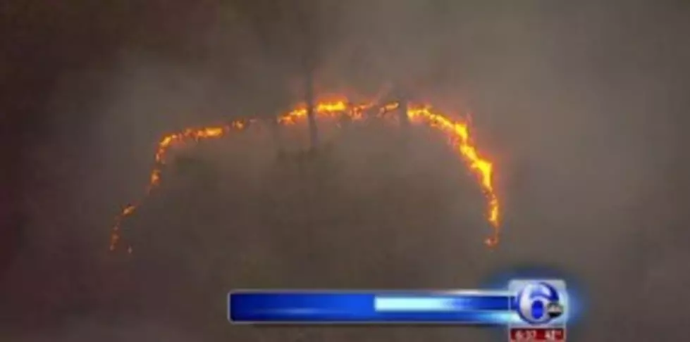 Fire in Wharton State Forest