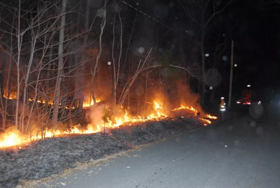 Prescribed burns help Jersey forests