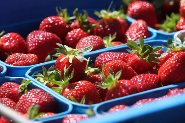 It&#8217;s strawberry season in New Jersey: Get &#8217;em while they last