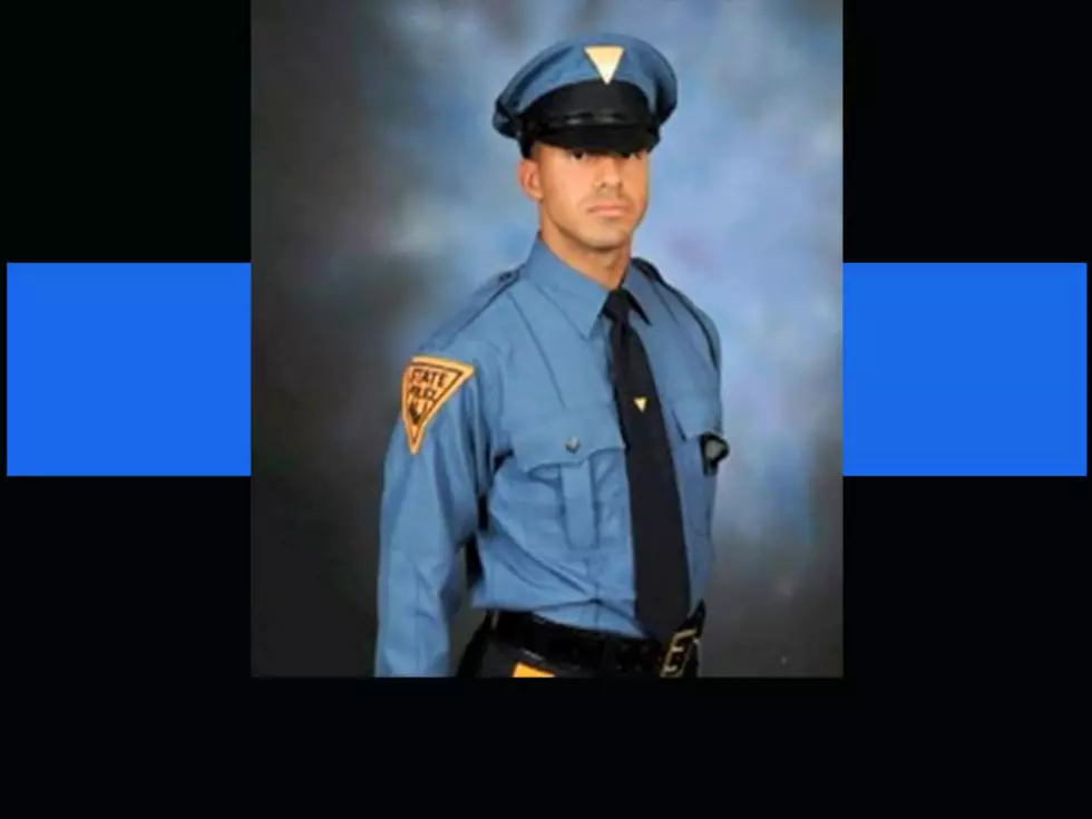 Deer accident claims the life of NJ State Police officer