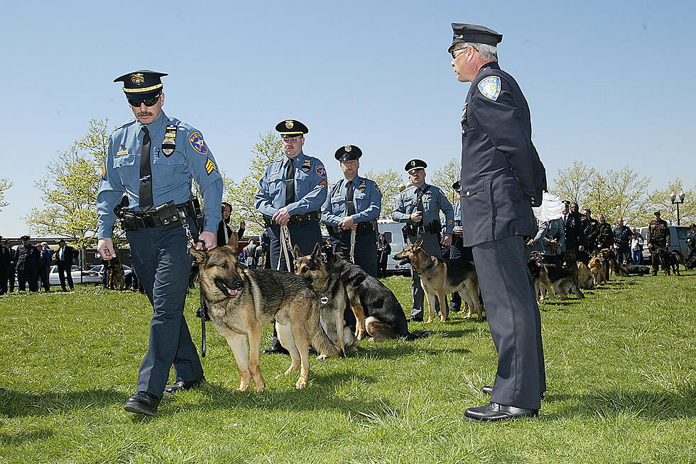 Better protection for police dogs in New Jersey