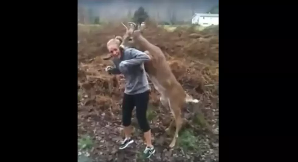 Proof that even deer are sick of New Jersey (Watch)