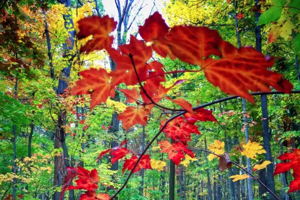 NJ: Here&#8217;s your astonishing fall foliage photos