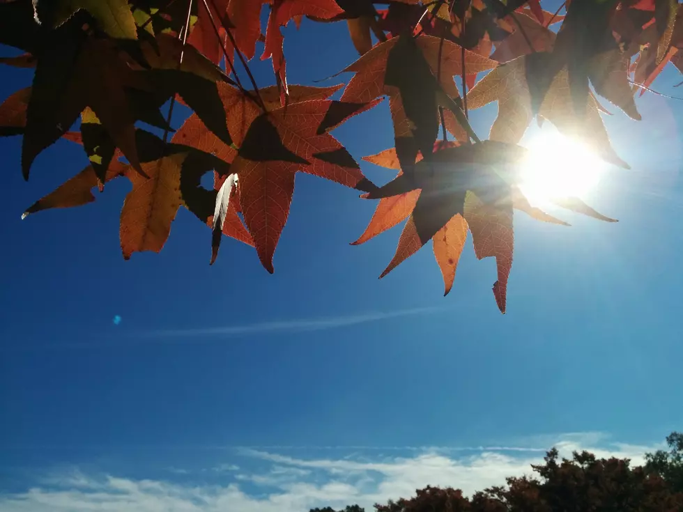 Quiet, dry, cool weather for New Jersey as Thanksgiving approaches