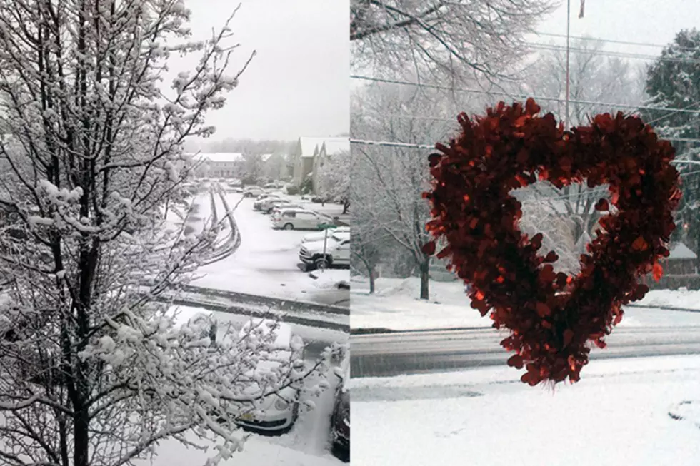 PHOTOS: Your gorgeous #NJSnow pictures from Friday, Feb. 5