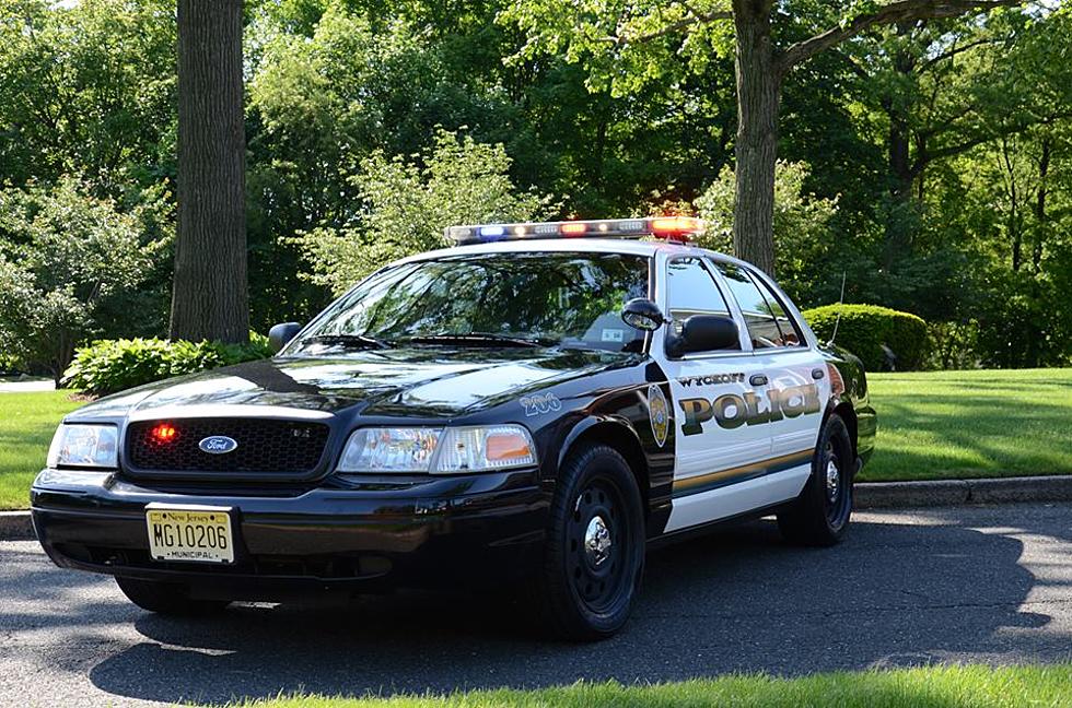 NJ investigates police chief over email touting racial profiling of blacks