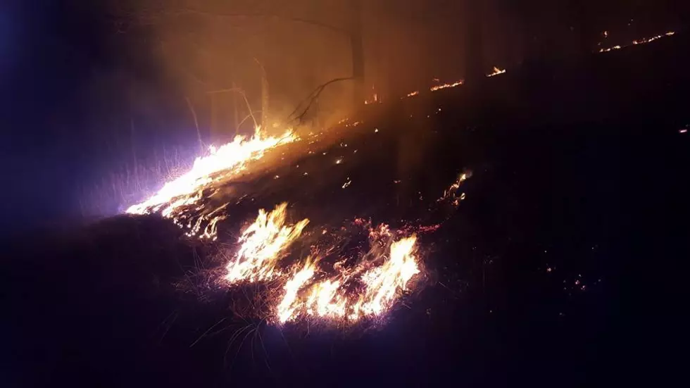 Brush fire burns 60 acres in Hunterdon County
