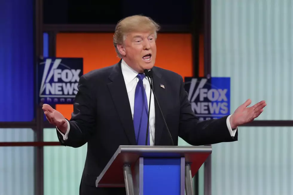Fox’s Megyn Kelly, Donald Trump largely civil in debate