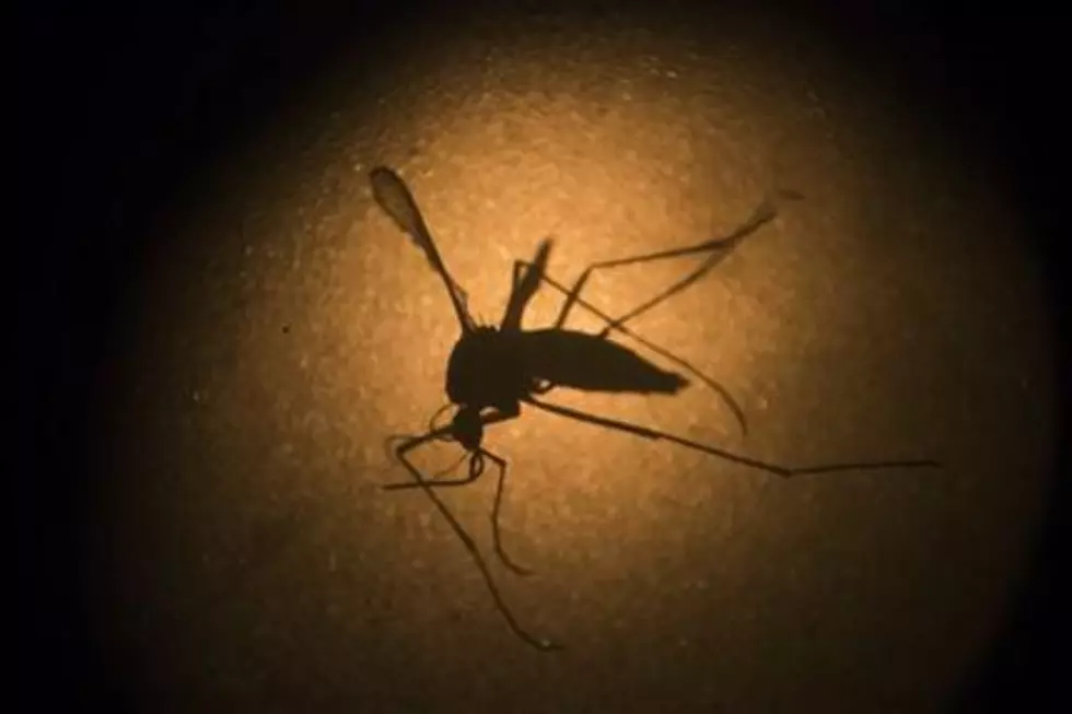 Woman found to spread Zika through sex for 1st time