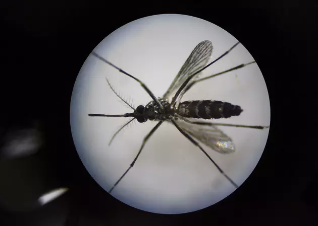 NJ confirms first human West Nile virus case of 2016
