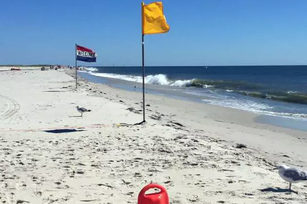 Swimmers beware: High bacteria levels prompt NJ beach warnings, closures
