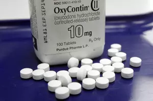 NJ county sues wealthy families that profited during opioid crisis