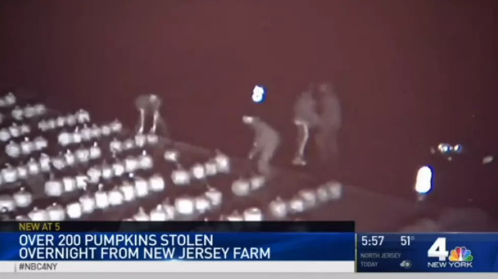 Video shows nearly 200 pumpkins being stolen from NJ farm