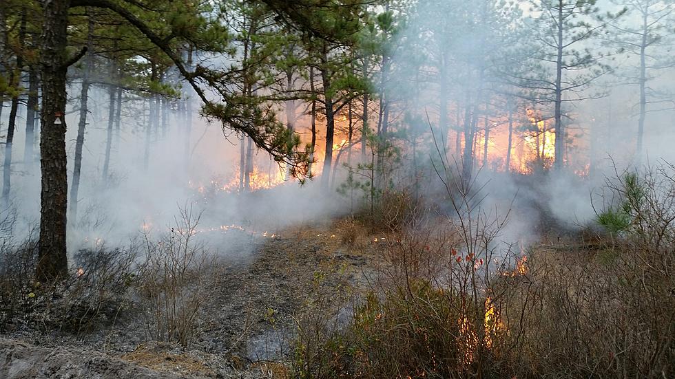 Fire Burns More Than 200 Acres of South Jersey Forest Tuesday