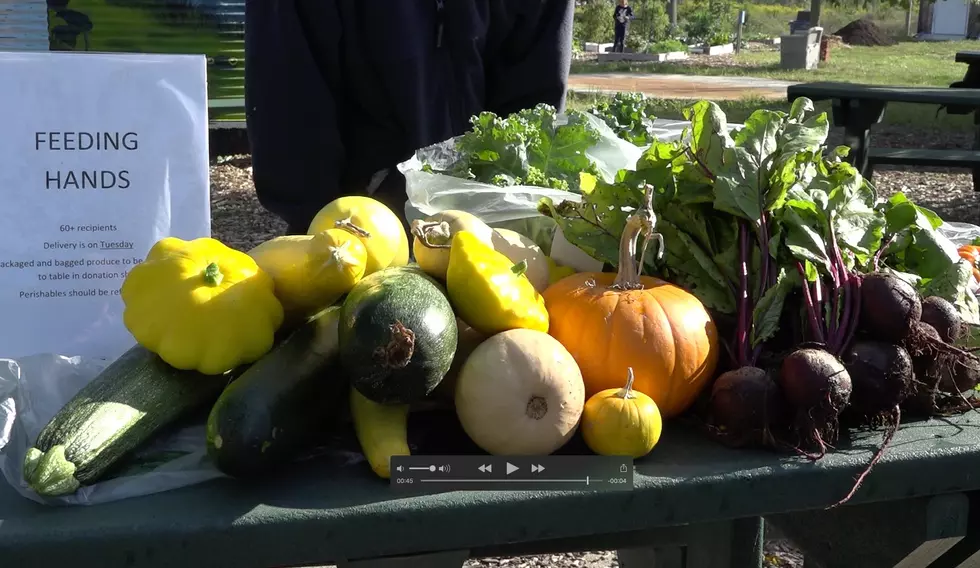 Community garden at Doris Duke’s former NJ estate donates tons of organic produce