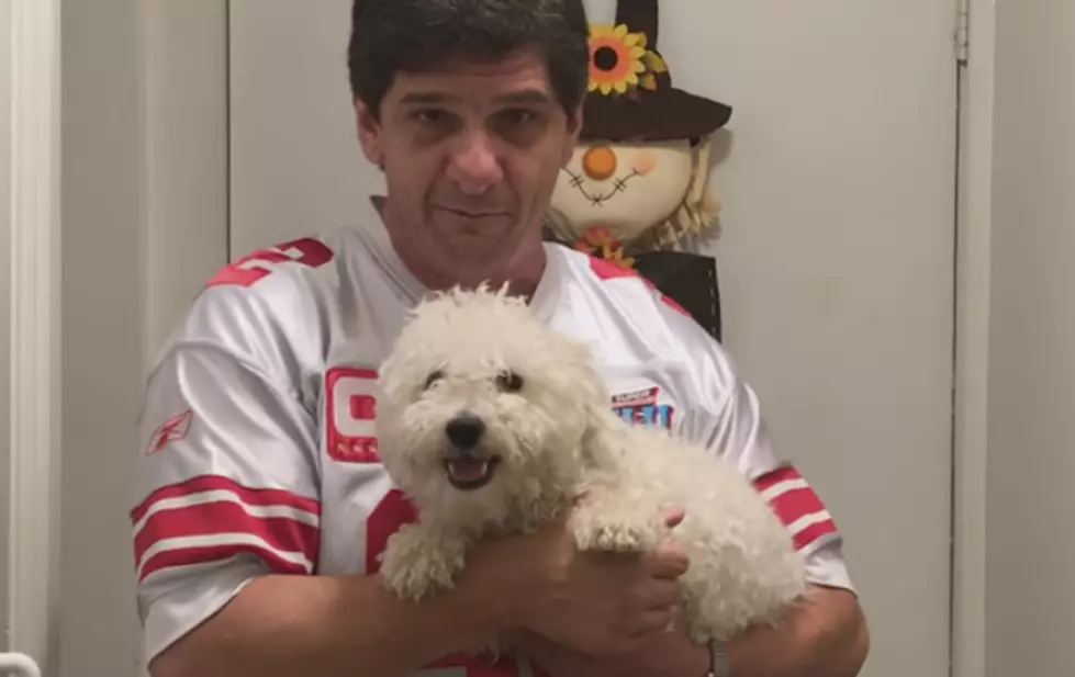 Fluffy knows football! Giants vs. Steelers prediction, Dec. 4
