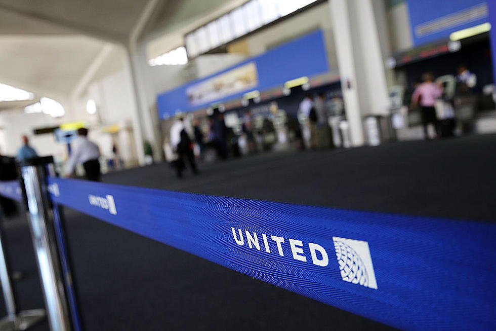 Dog's death on United flight — proof we baby our pets too much 