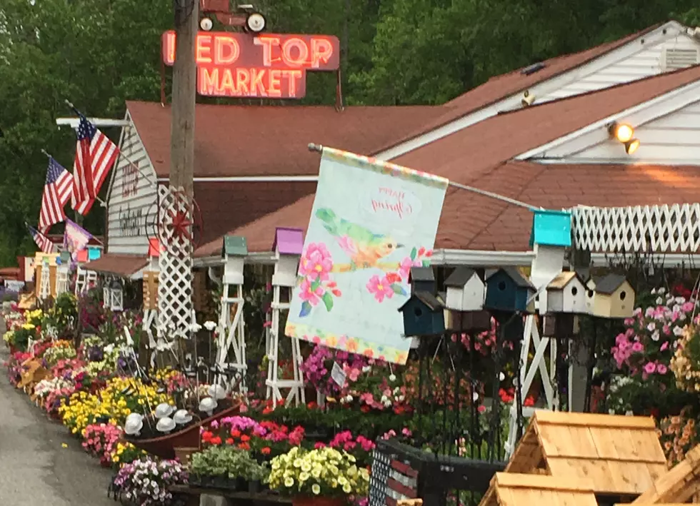 Jersey Farmer’s Markets — Why every resident should be proud