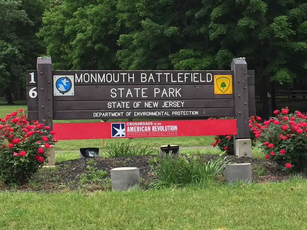 Molly Pitcher was here: See battles come to life at Monmouth park