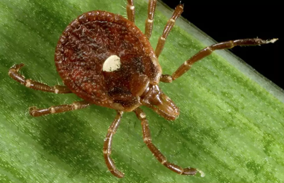 Emerging tick-borne virus not yet confirmed in NJ, but it’s likely here