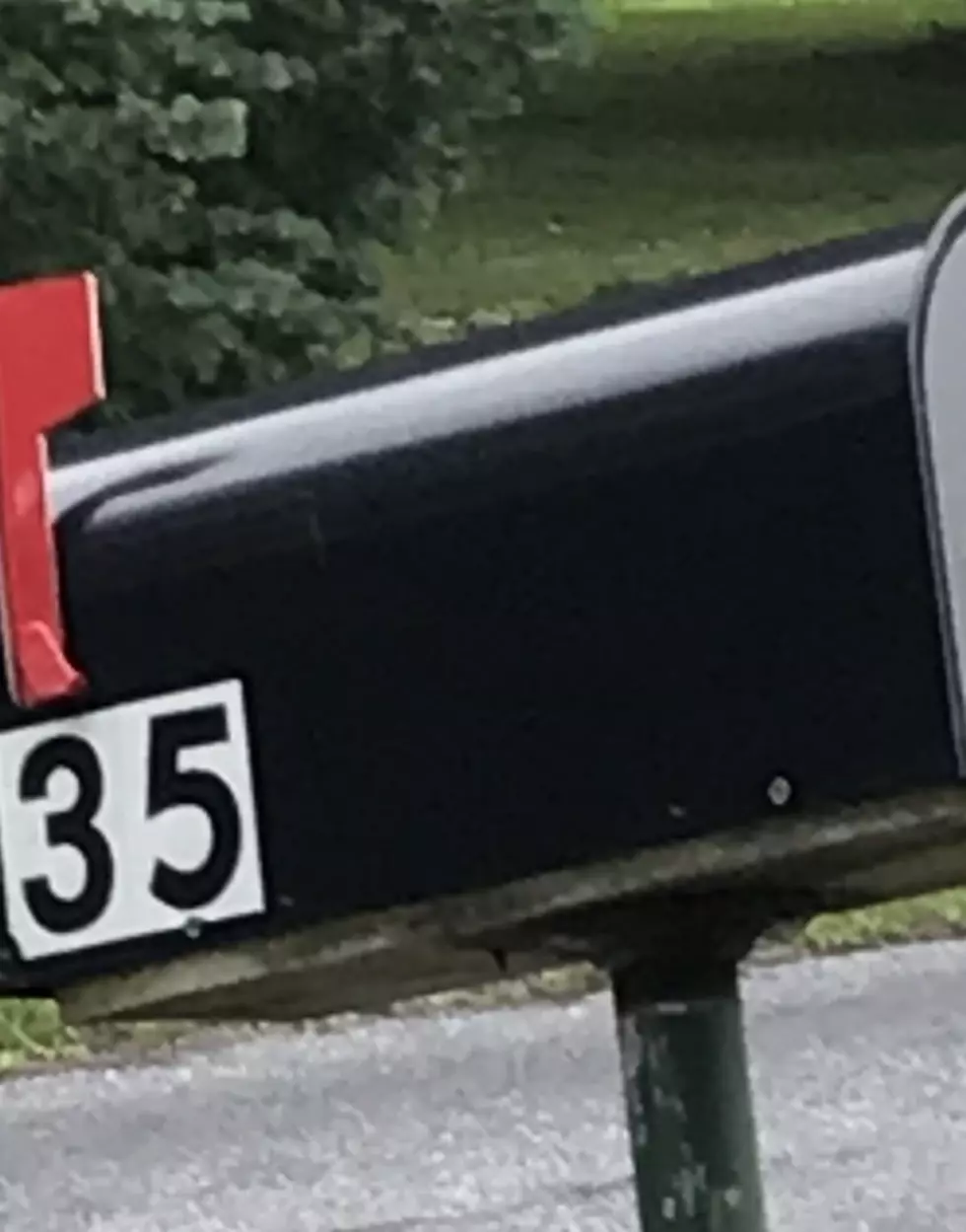 The coolest mailbox in all of New Jersey