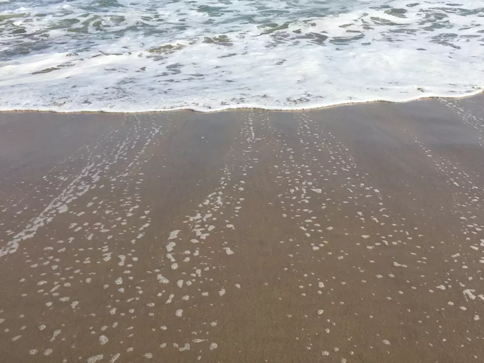 NJ beach sand could have loads of bacteria — but don't worry