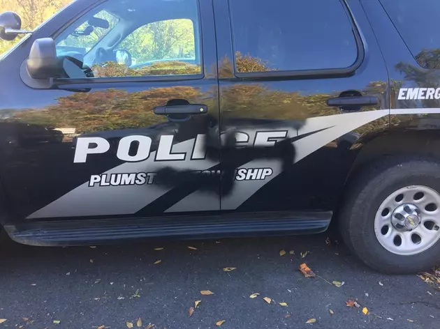 Swastika painted on cop car in Ocean County