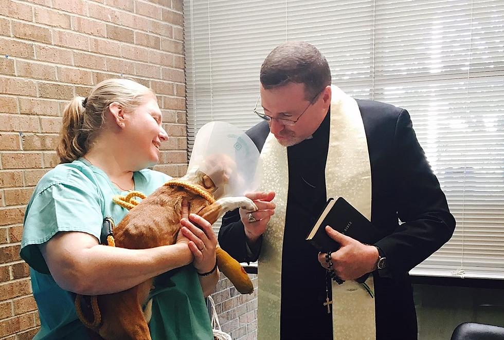 Atheists sue to stop blessing of the animals
