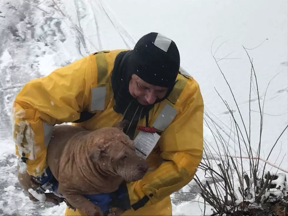 Oaklyn Fire Department caps busy day pulling pup from frozen lake