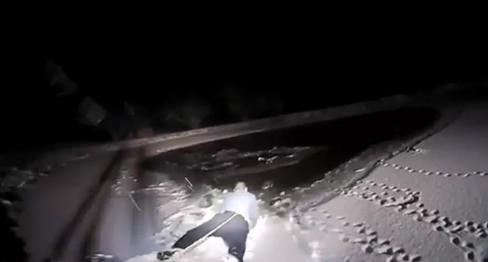 Hopewell cop’s daring rescue of dog from icy pond caught on video