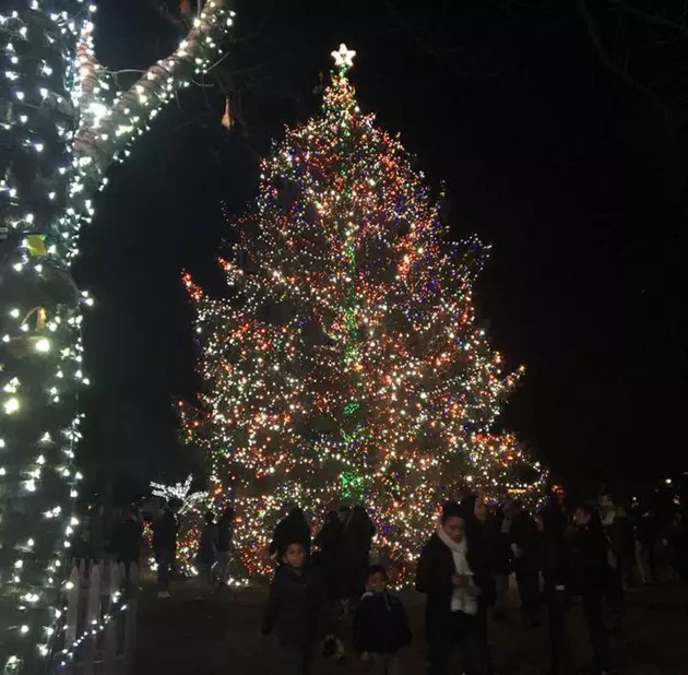 It&#8217;s beginning to look a lot like &#8230; gang violence at Hamilton tree lighting