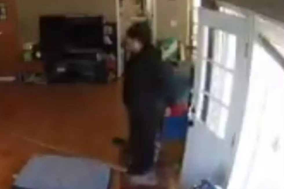 Red-gloved burglar not afraid of family's dog — video