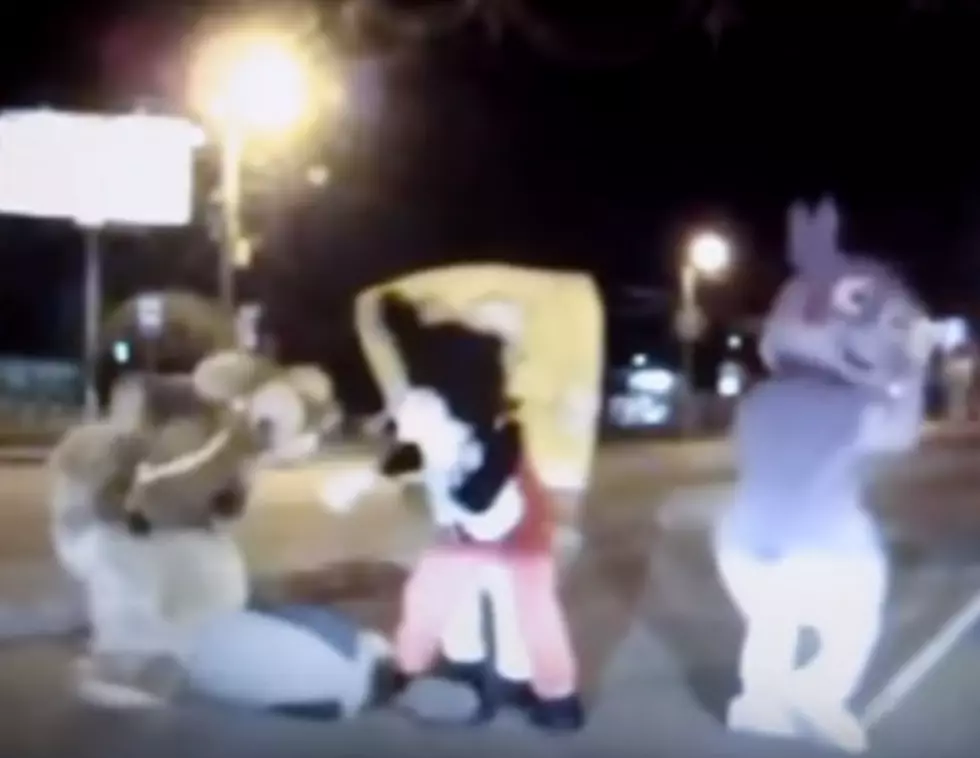Mascots take on angry driver in Russian road rage incident