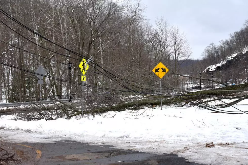 NJ utilities may get power to chop trees — like it or not