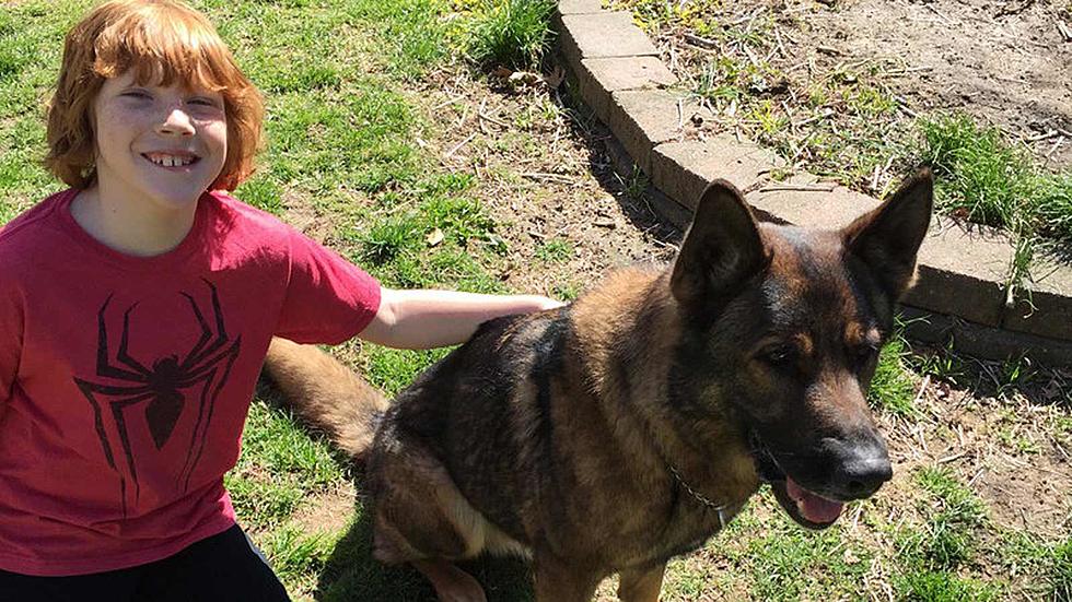 Police K9 — ripped from family by agency — set to return home