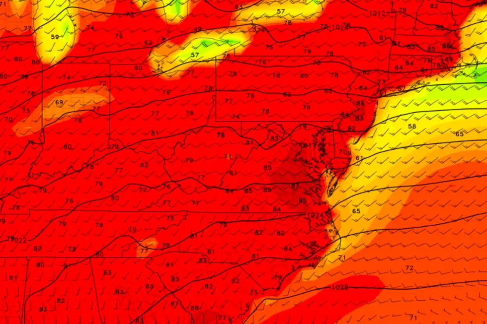 Widespread 80s and more summery sunshine for NJ Wednesday