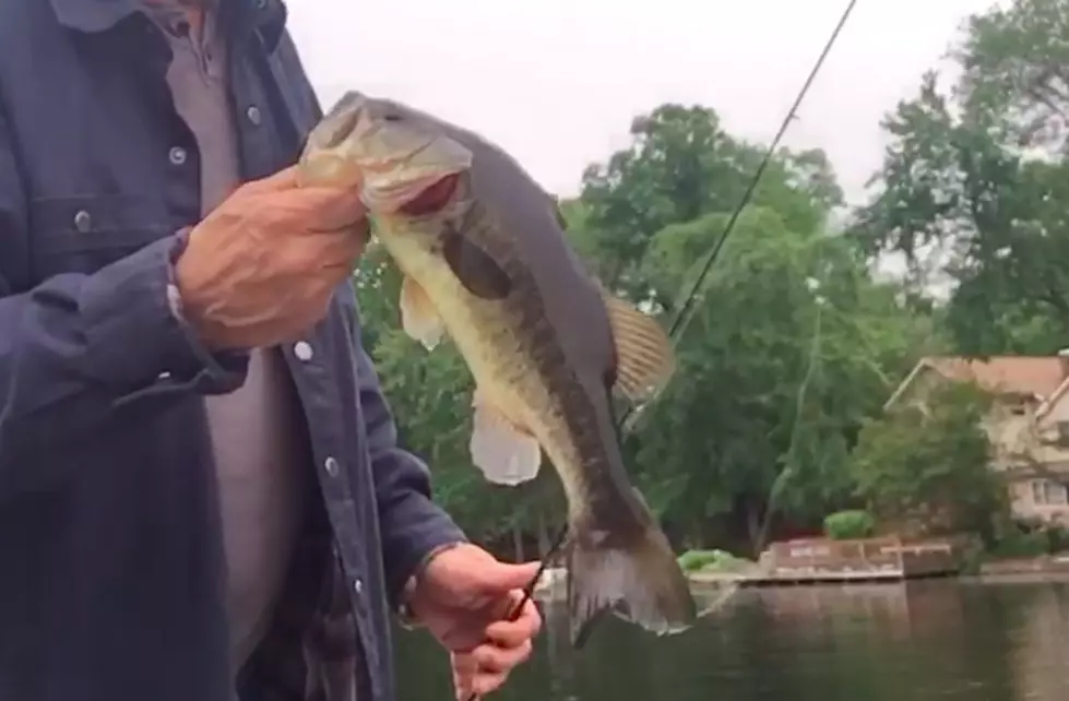 Fishing in New Jersey is red hot! (Watch)