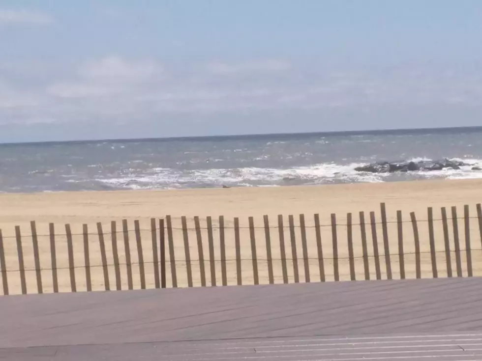 Jersey Shore Report for Tuesday, June 5, 2018