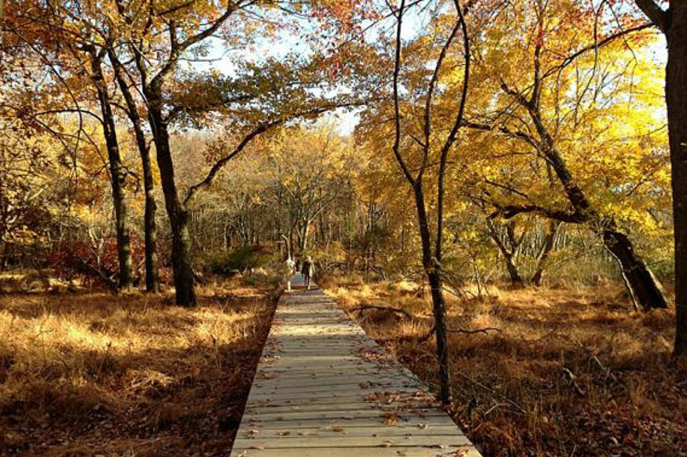 Finding the best hiking spots to see NJ&#8217;s fall foliage