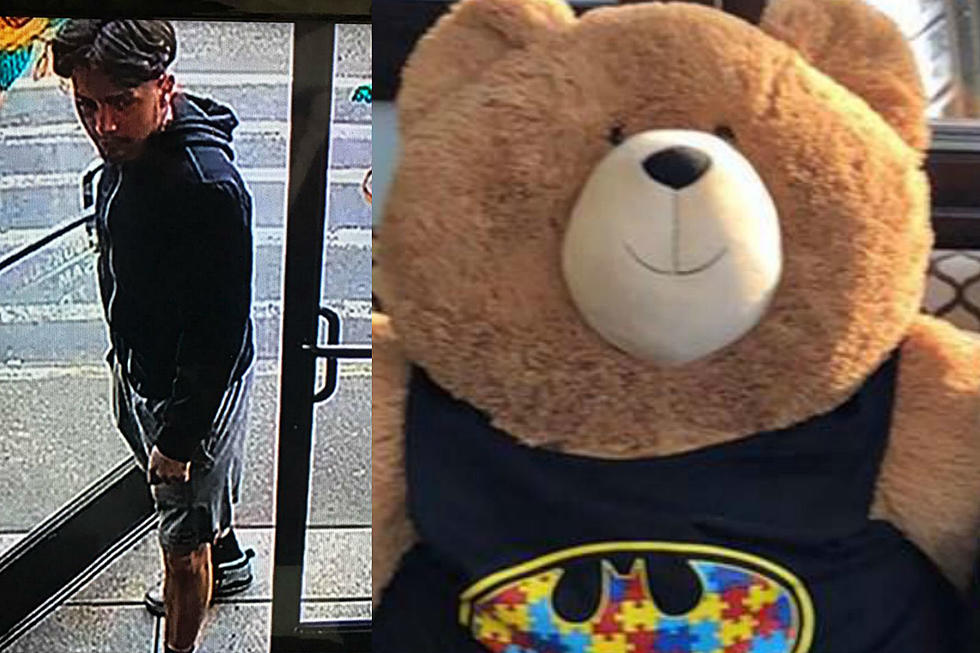 He&#8217;s back! Autism bear returned after owners shame &#8216;bearnappers&#8217;