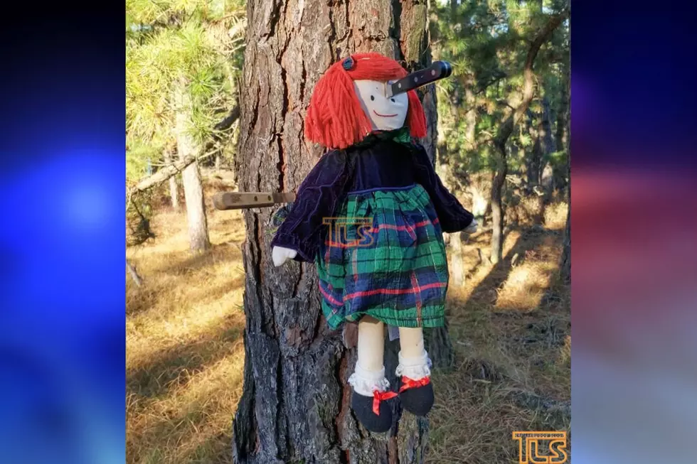 Doll with knife sticking out of its head found in Lakewood