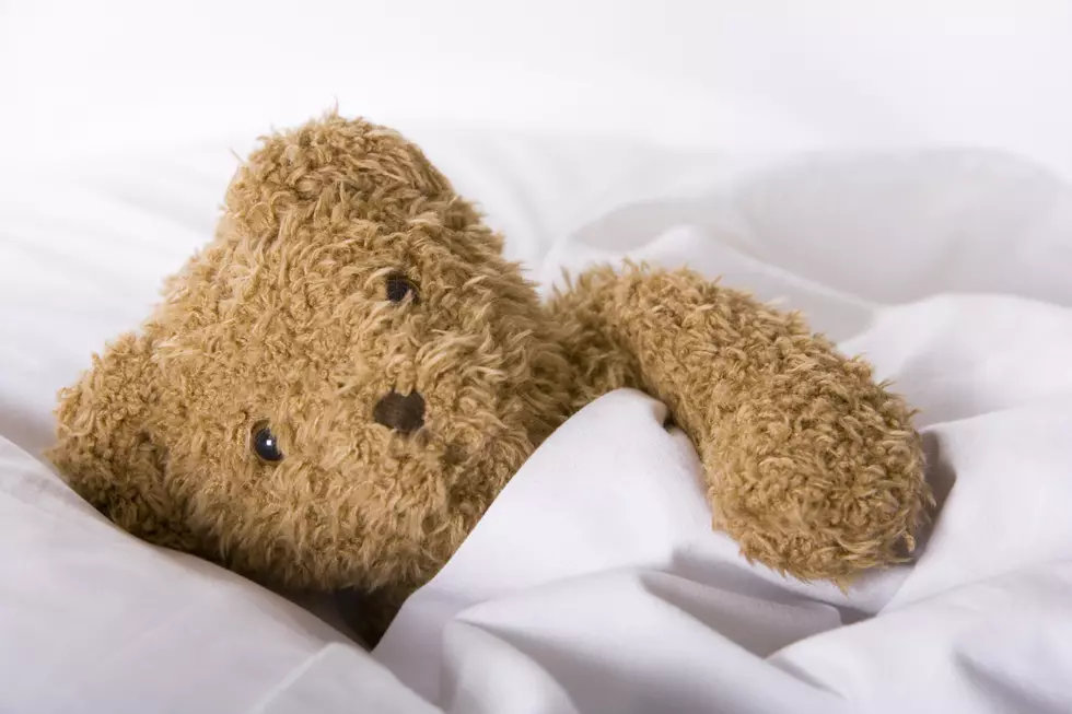 Feel Better Bears: Donate a teddy bear for a child in crisis