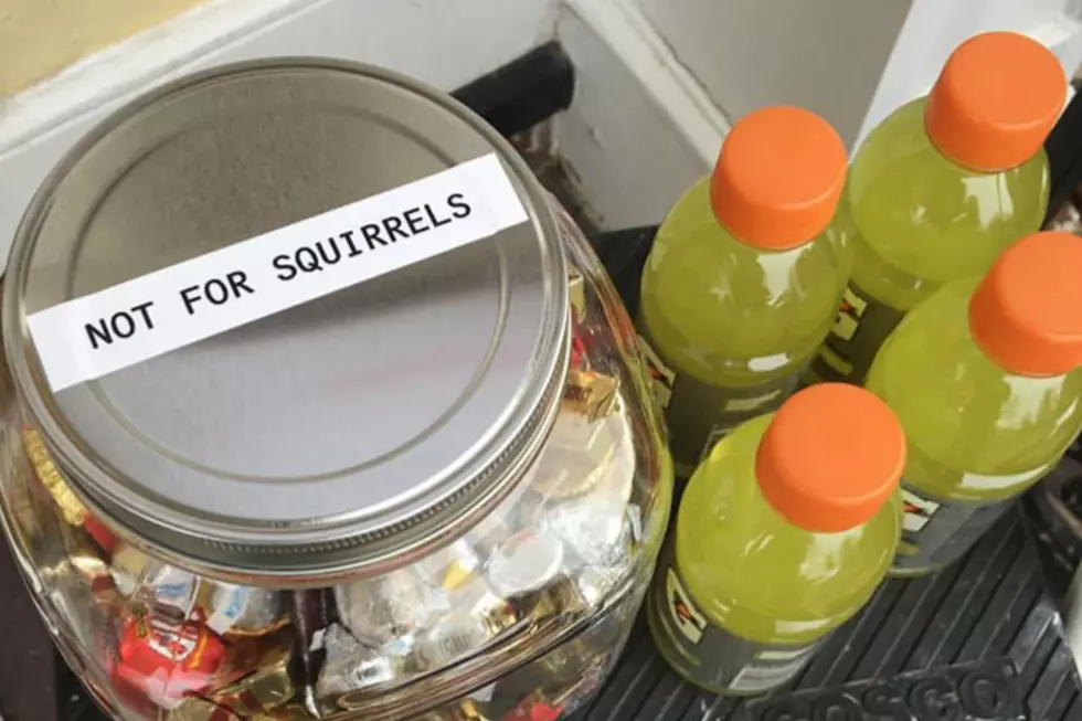 Family doesn’t let squirrels stop holiday tradition of giving