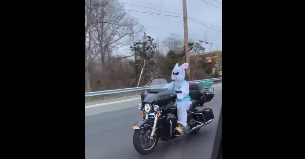 Easter Bunny riding motorcycle caught on video