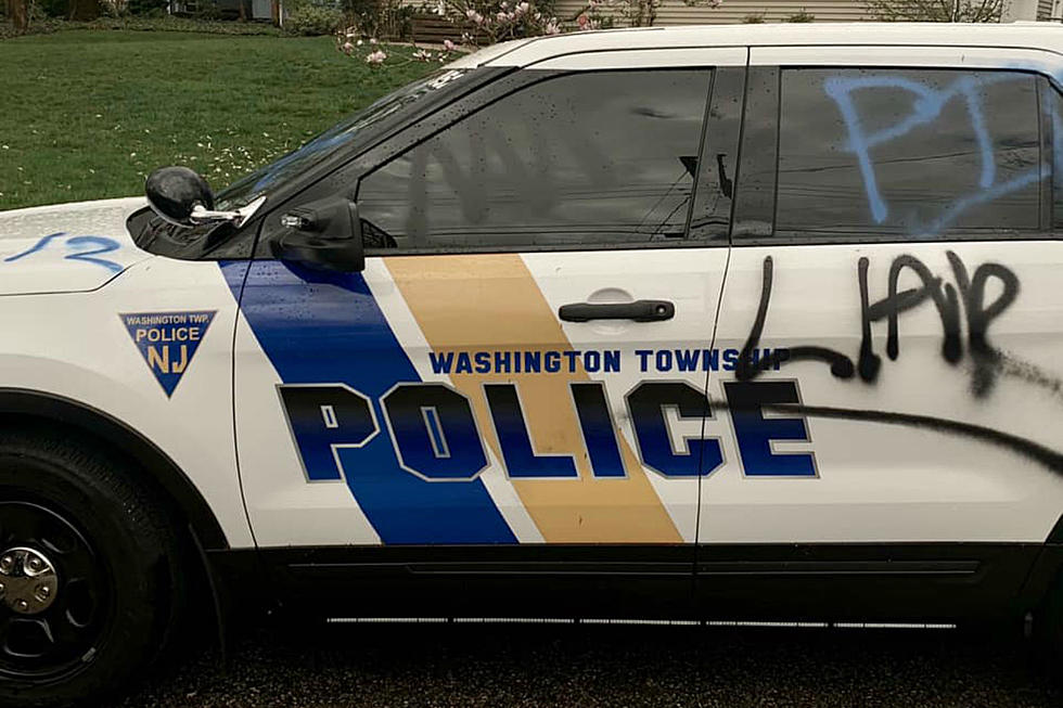 Police car tagged with crude graffiti in residential paint spree