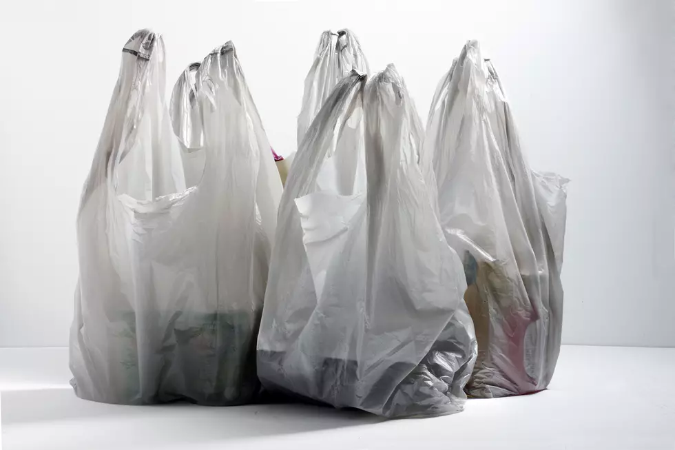No shopping bags, period? It's the NJ nanny state's future