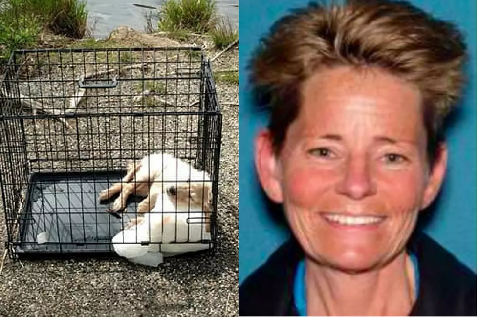 NJ woman arrested after drowned puppy was found in cage