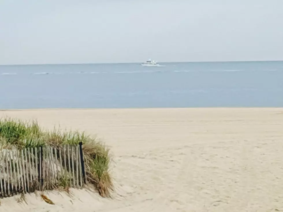 Jersey Shore Report for Saturday, June 1, 2019