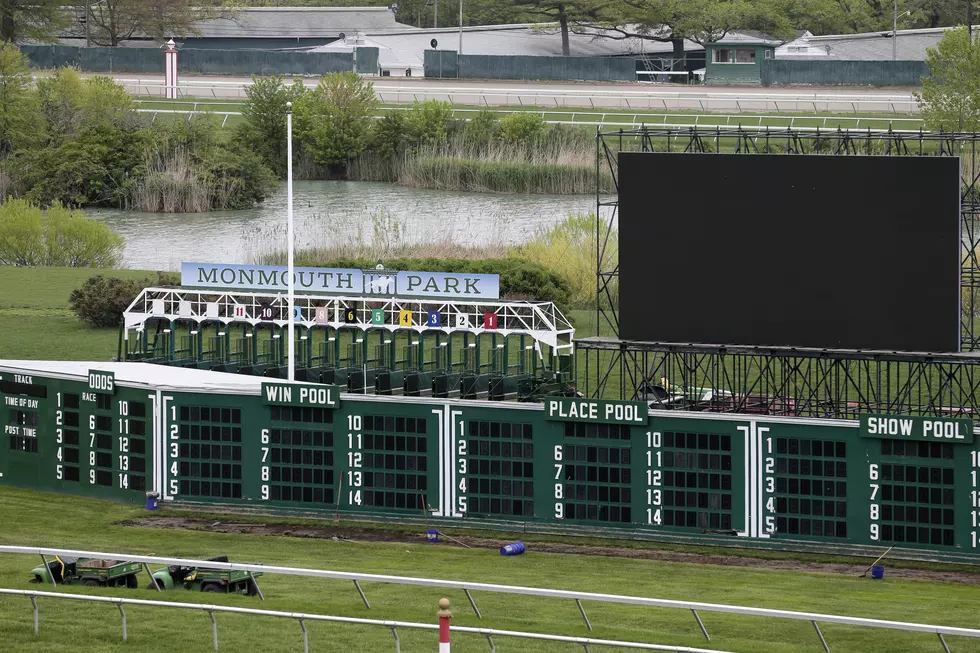 New Jersey Horse Track Will Race Horses Despite 100-Degree Heat